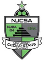NJCSA Logo